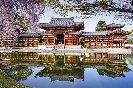 brown and gray house illustration, pond, reflection, spring, Japan, Sakura, Byodo-In Temple, Uji, The byodo-in temple, HD wallpaper HD wallpaper