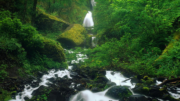 Forest Waterfall Stream Rocks Stones Timelapse HD, ธรรมชาติ, ป่า, หิน, หิน, ไทม์แลปส์, น้ำตก, สตรีม, วอลล์เปเปอร์ HD