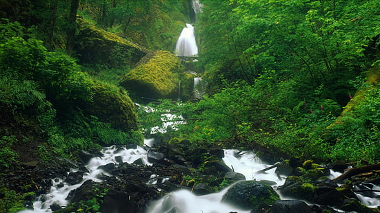 Forest Waterfall Stream Rocks Stones Timelapse HD, natur, skog, stenar, stenar, timelapse, vattenfall, stream, HD tapet HD wallpaper