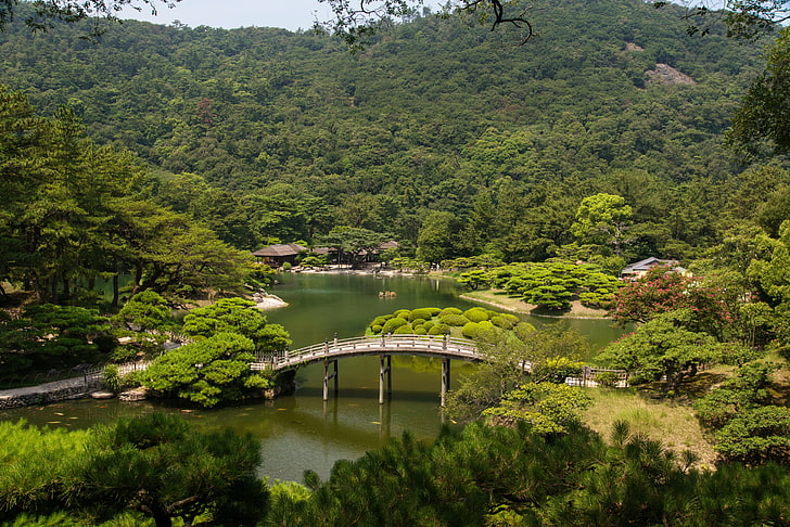 дървета, пейзаж, мост, природа, река, снимка, Япония, градини, Такамацу, градина Рицурин, HD тапет