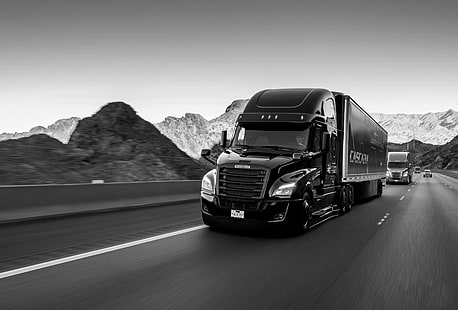 Semis, Freightliner, svartvitt, Freightliner-lastbilar, lastbil, fordon, HD tapet HD wallpaper