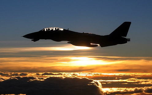 F14 кот закат, реактивный истребитель, самолеты, кот, закат, военно-воздушные силы, HD обои HD wallpaper