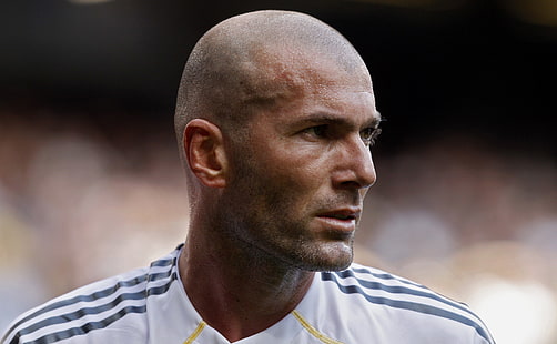 Zinedine Zidane, Sport, Football, Male, Real Madrid, Player, Legend, Zinedine Zidane, Zizou, HD wallpaper HD wallpaper