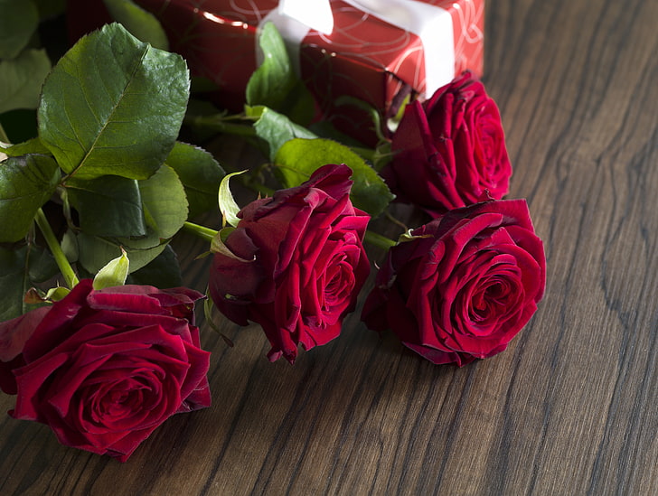red, love, romantic, gift, roses, red roses, valentine`s day, HD wallpaper