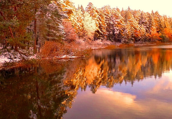 Зимна фантазия, сняг, пейзаж, зима, езеро, природа, природа и пейзажи, HD тапет