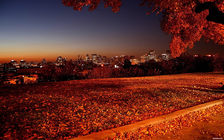 городской пейзаж, огни города, опавшие листья, сумерки, город, HD обои