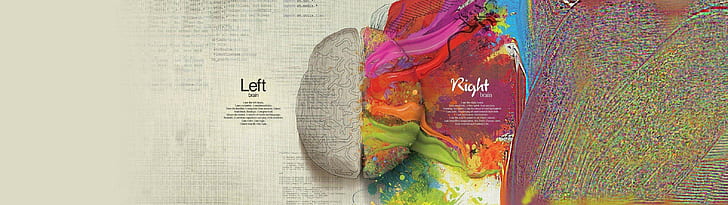 mathematics, splitting, paint splatter, infographics, painting, brain, colorful, quote, creativity, HD wallpaper