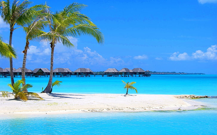 Тропически остров на остров Малдиви Палмови дървета пясъчни плажове тюркоазено чиста вода бунгала Wallpaper HD 2880 × 1800, HD тапет