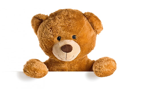 Cute Teddy Bear, brown teddy bear, bear, teddy bear, toy, HD wallpaper HD wallpaper