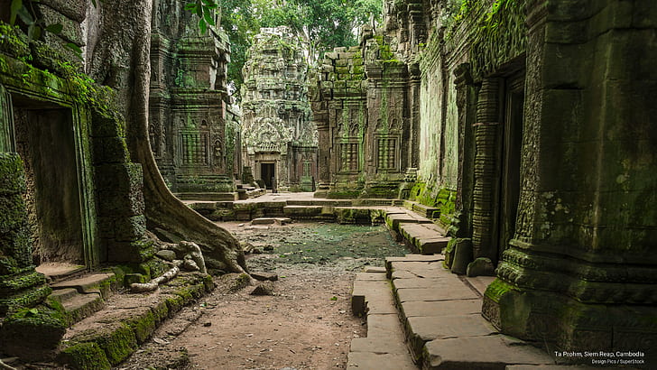Ta Prohm, Siem Reap, Kamboja, Asia, Wallpaper HD