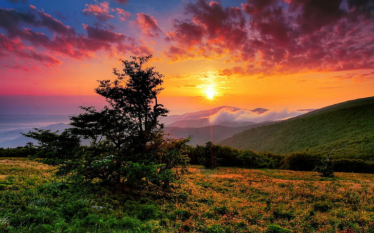 Sunset in North Carolina, sunset, landscape, us, HD wallpaper