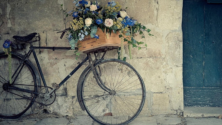 мусорное ведро, велосипед, винтаж, букет, велосипед, цветы, HD обои