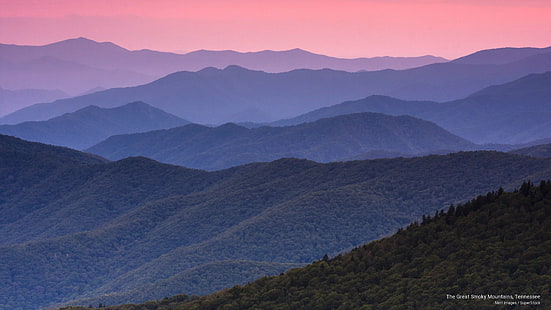 Las Grandes Montañas Humeantes, Tennessee, Parques Nacionales, Fondo de pantalla HD HD wallpaper