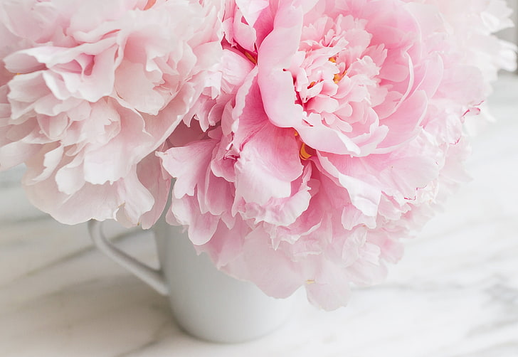 pink petaled flower, flowers, bouquet, marble, pink, peonies, tender, HD wallpaper