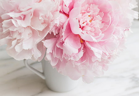 ピンクの花びらの花、花、花束、大理石、ピンク、牡丹、柔らかい、 HDデスクトップの壁紙 HD wallpaper