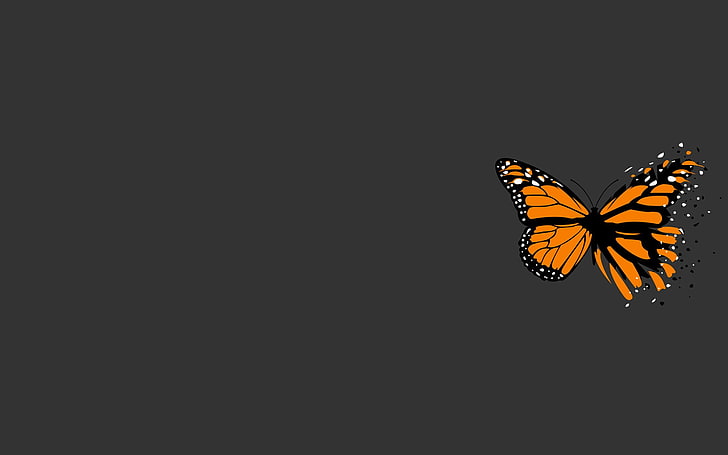 brown and black monarch butterfly clip art, grey, butterfly, minimalism, HD wallpaper