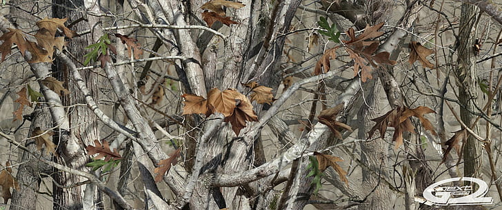 camouflage, Woodland Camouflage, Sfondo HD
