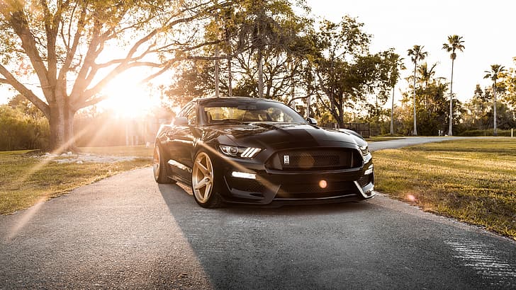Mustang, Ford, Shelby, GT350, Ford Mustang Shelby GT350, HD wallpaper