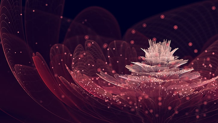 white and red flower illustration, flowers, fractal, digital art, abstract, fractal flowers, plants, HD wallpaper