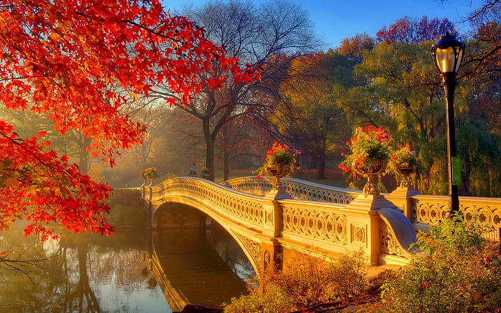 朝、川、橋、木、花、白いコンクリート橋、秋、公園、朝、川、橋、木、花で秋の公園、 HDデスクトップの壁紙