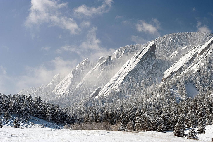 photographie de paysage de montagne de neige blanche pendant la journée, nature, montagnes, neige, arbres, hiver, Fond d'écran HD