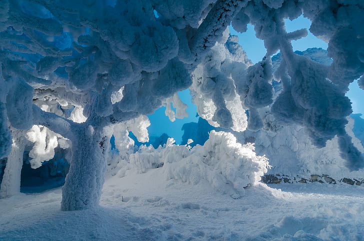 Natur, Schnee, Eis, Bäume, Himmel, Winter, Frost, Cyan, Lichter, HD-Hintergrundbild