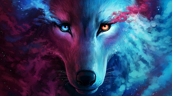 lobo, arte, arte da fantasia, olhos, animal selvagem, HD papel de parede HD wallpaper