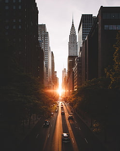 city buildings, cityscape, building, city, sunrise, New York City, Chrysler Building, HD wallpaper HD wallpaper