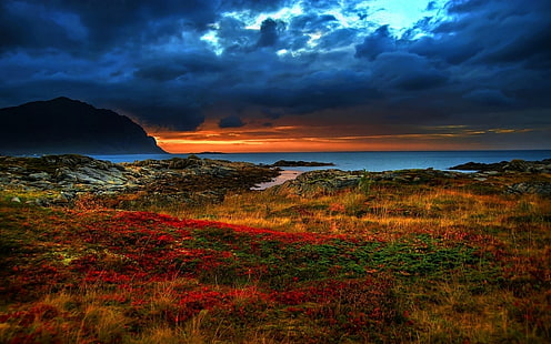 حقل الزهور الأحمر والأخضر ، الساحل ، التدهور ، المساء ، الجبال ، الغطاء النباتي ، متعدد الألوان ، متنوع ، ألوان ، تباين ، مشرق، خلفية HD HD wallpaper