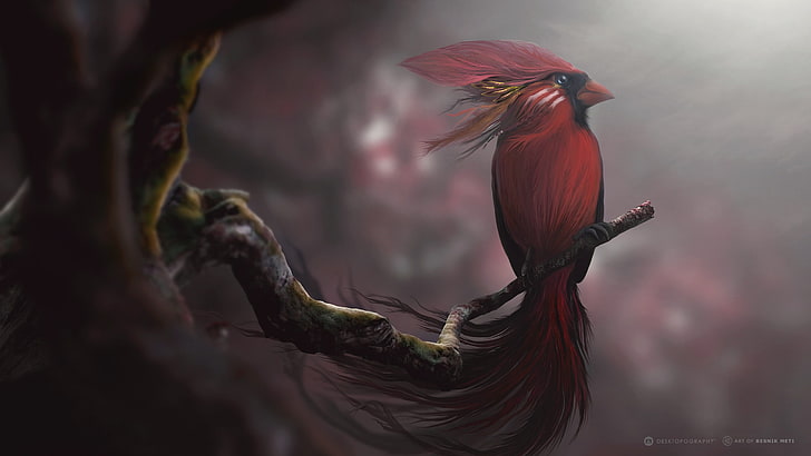 pittura dell'uccello rosso e nero, rosso, uccelli, arte digitale, Sfondo HD