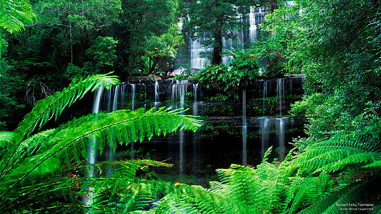 Russell Falls, Tasmânia, Cachoeiras, HD papel de parede HD wallpaper