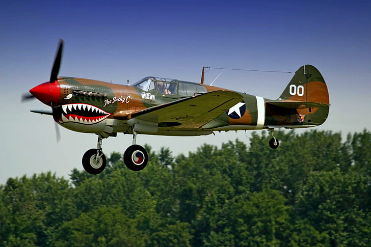 P40 Warhawk, green and brown fighter plane, airplane, landing, curtiss, wwii, plane, p-40, classic, warhawk, antique, aircraft planes, HD wallpaper