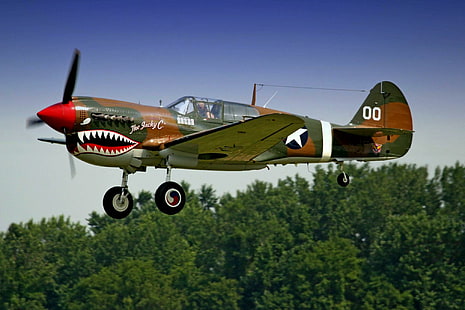 P40 Warhawk, green and brown fighter plane, airplane, landing, curtiss, wwii, plane, p-40, classic, warhawk, antique, aircraft planes, HD wallpaper HD wallpaper