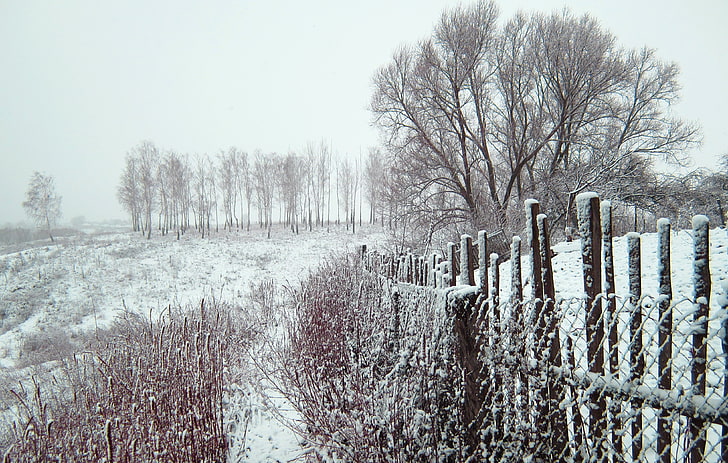 Russia, winter, snow, trees, fence, HD wallpaper