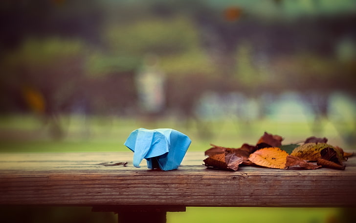 blue paper elephant, leaves, fall, depth of field, animals, origami, elephant, table, trees, park, wood, HD wallpaper