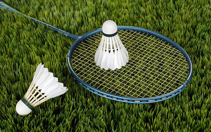 Badminton grass field-Sports Poster HD Wallpaper, HD wallpaper