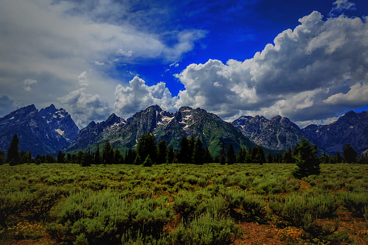 natur, landskap, Grand Teton National Park, nationalpark, berg, Wyoming, HD tapet