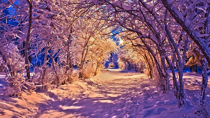 nature, winter, landscape, HD wallpaper
