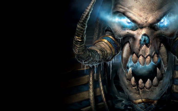 cartaz de personagem de crânio com chifres, Warcraft, videogame, Blizzard Entertainment, World of Warcraft, HD papel de parede