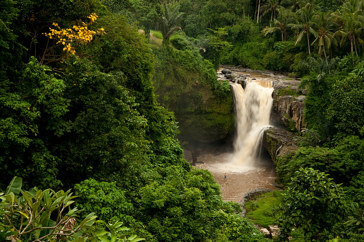 forest, rock, palm trees, waterfall, Bali, Indonesia, Tegenungan Waterfall, HD wallpaper