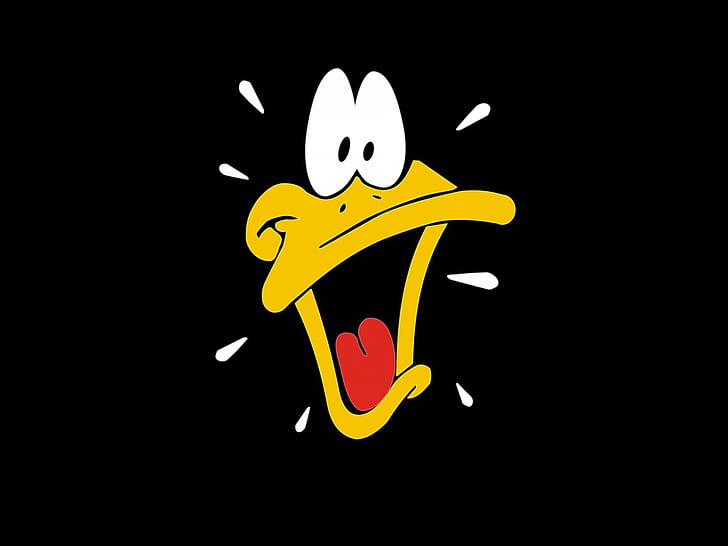 cartoons, daffy duck, funny, HD wallpaper