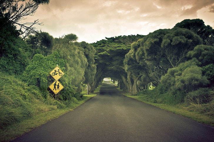 gray concrete road and green leafed trees, Man Made, Road, Australia, Cloud, Sign, Tree, Tunnel, HD wallpaper