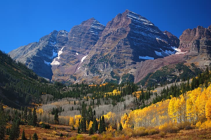 forest, mountains, tops, Colorado, Aspen, HD wallpaper