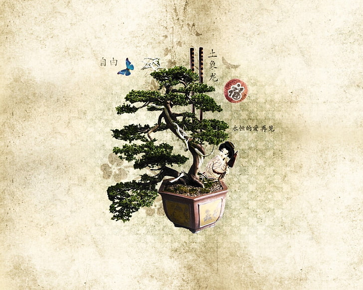 grüne Bonsai Pflanze, japanischer Garten, Bonsai, Essstäbchen, HD-Hintergrundbild