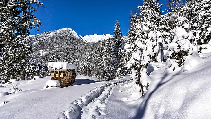 фотография сарая, покрытого снегом, снегом, зимой, горой, природой, европейскими Альпами, пейзажем, на открытом воздухе, холодом - температура, лес, дерево, лед, мороз, HD обои