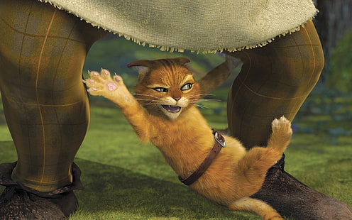 Shrek Puss, pussy boots karakter shrek, animasi, komedi, kucing, lucu, Wallpaper HD HD wallpaper