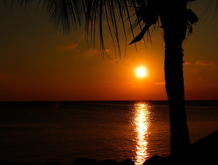 caribbean, dawn, dusk, hd, holiday, ocean, palm, salt water, sea, seawater, summer, sunrise, sunset, vacation, HD wallpaper