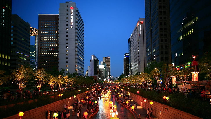 الأشجار الخضراء والمباني الخرسانية البيضاء ، كوريا ، آسيا ، سيول ، كوريا الجنوبية ، الليل ، المدينة ، مدينة الأضواء، خلفية HD