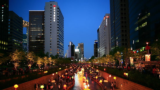 緑の木々と白いコンクリートの建物、韓国、アジア、ソウル、韓国、夜、都市、ライトシティ、 HDデスクトップの壁紙 HD wallpaper