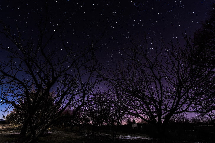 Landschaft, Sterne, Nacht, Sternennacht, HD-Hintergrundbild